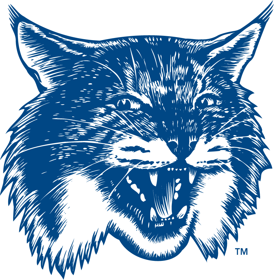 New Hampshire Wildcats 1993-2000 Secondary Logo v3 iron on transfers for T-shirts